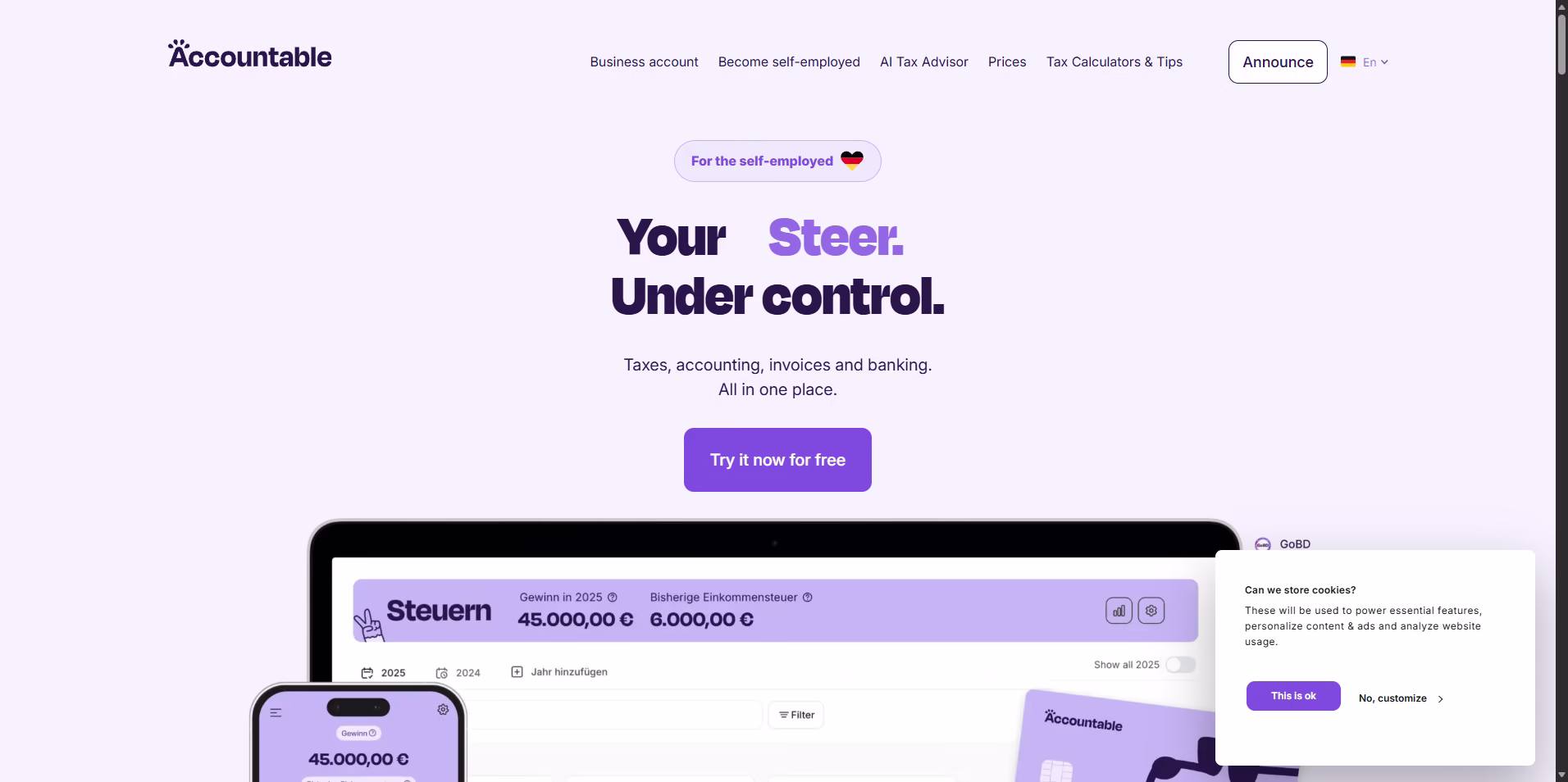 All-taxes-A-solution- Accountable