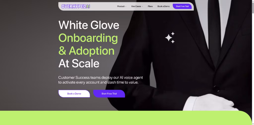 Overhyped AI-Voice-Agent-For-Driving-Product-Adoption